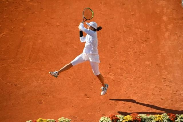 龙事件起因 龙事件起因